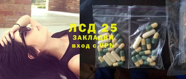 дживик Богородицк