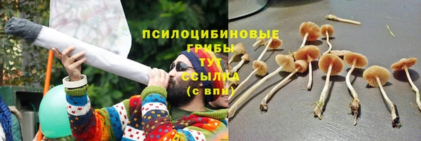 MESCALINE Богданович