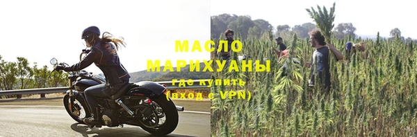 дживик Богородицк