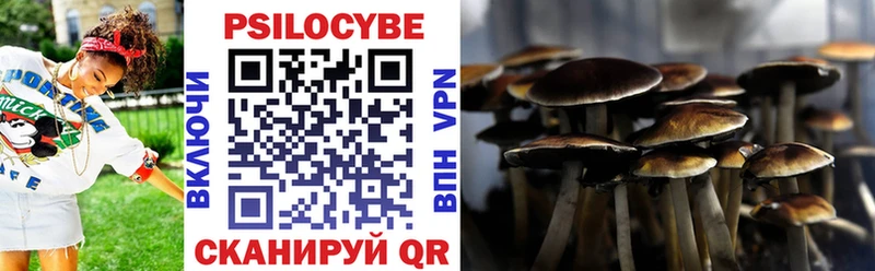 Псилоцибиновые грибы Psilocybine cubensis  Нея 