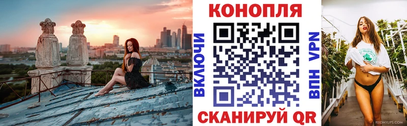 Конопля VHQ  кракен как войти  Нея 